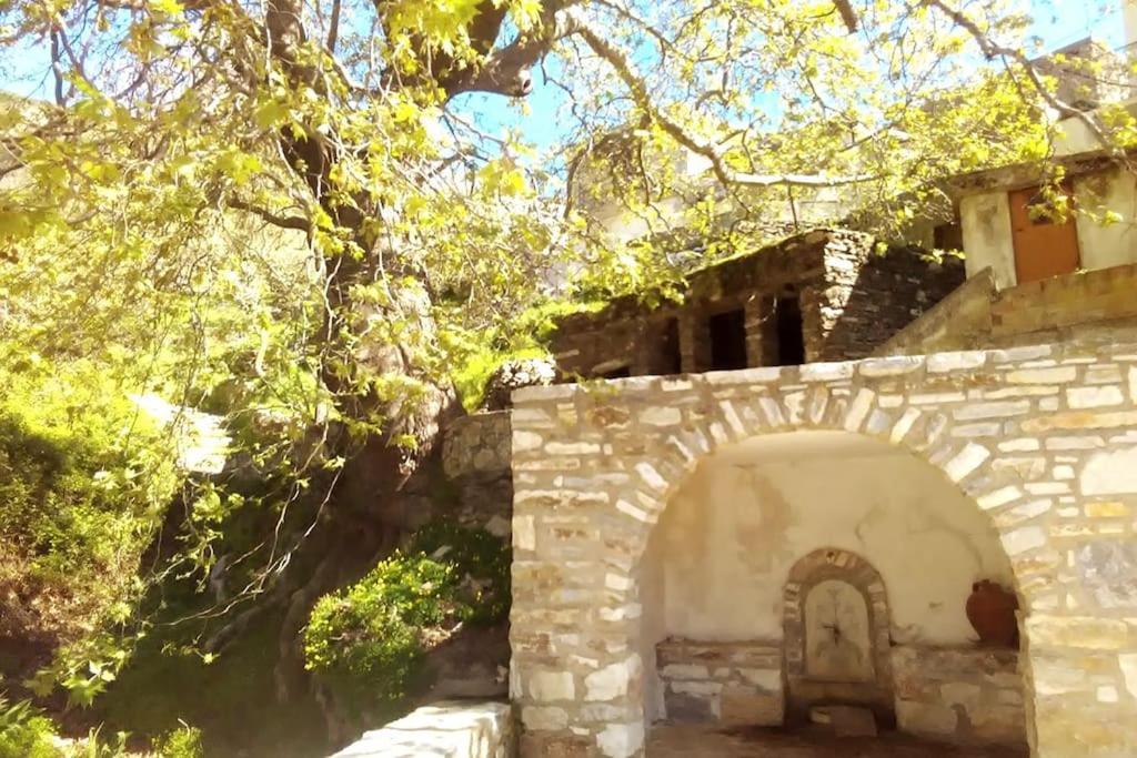 Naxos Mountain Retreat - Tiny House Build On Rock Lägenhet Koronos Exteriör bild